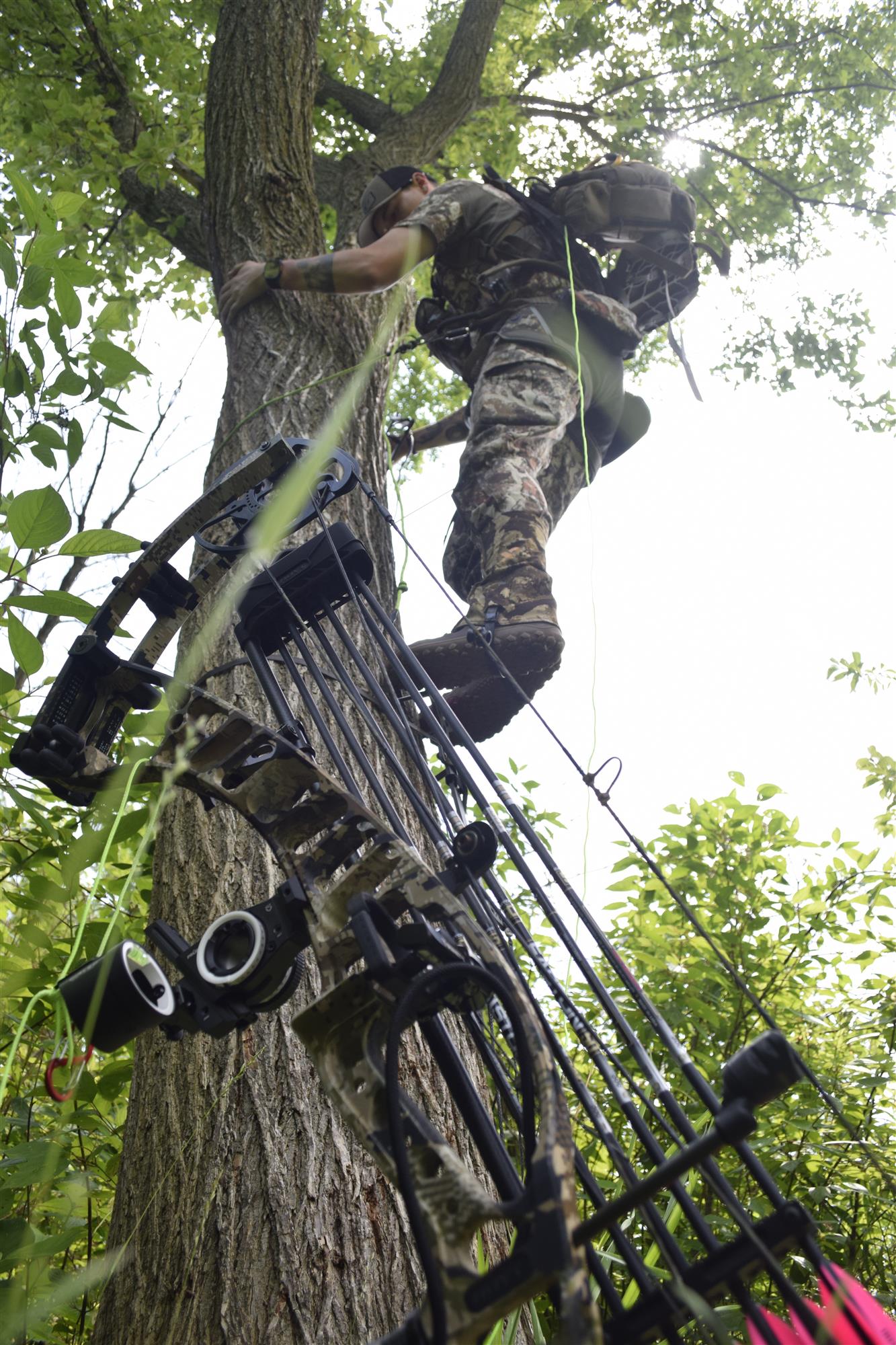 Hunter in tree with bow on ground